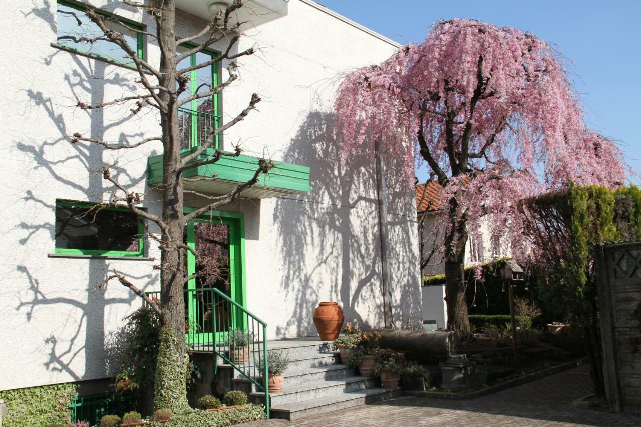 Albergo Nardini Lentate sul Seveso エクステリア 写真